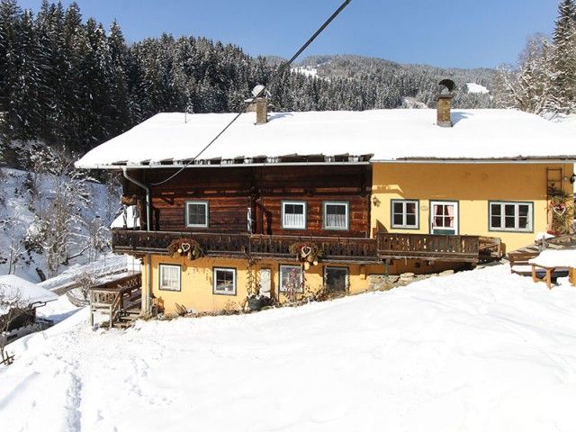 Ferienwohnungen Moser in Viehhofen im Winter