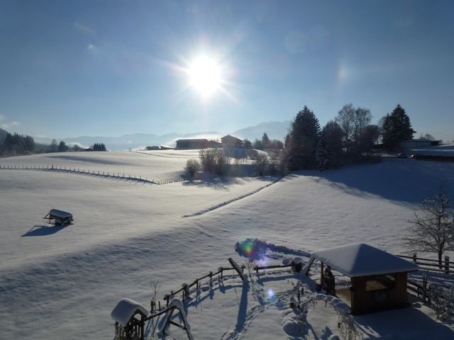 Wiesingbauer