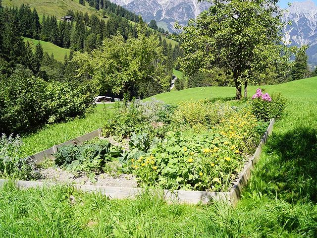 Bergmannsegghof