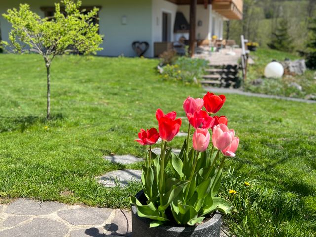 Ferienwohnungen Haus Skida
