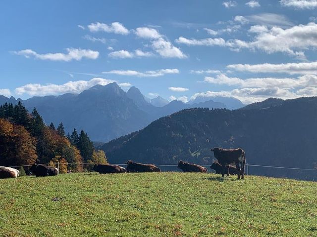 Moarhof