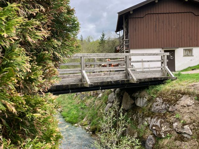 Pochergütl