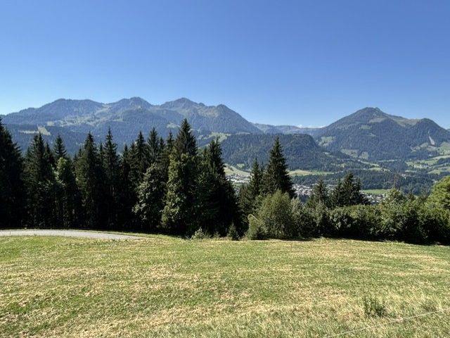 Ferienhaus Elisabeth NaturNah in Fieberbrunn