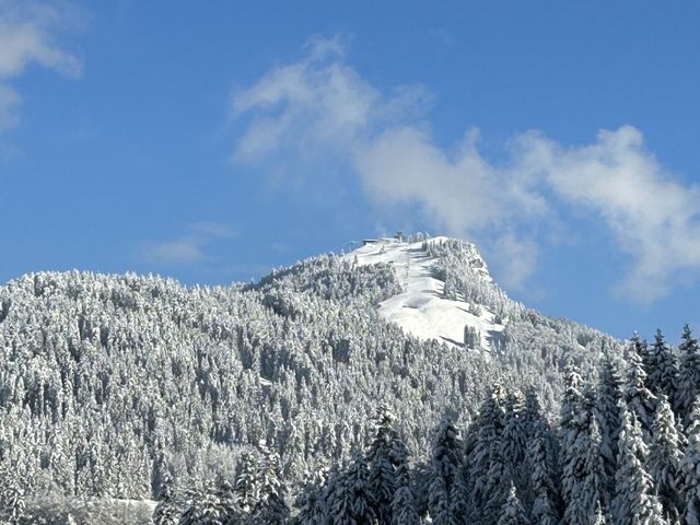 Ferienhaus Elisabeth NaturNah in Fieberbrunn